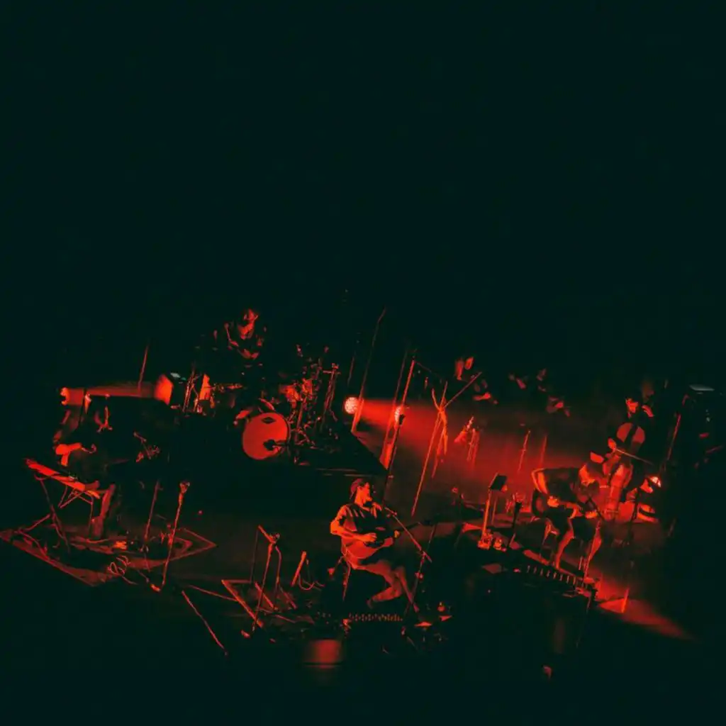 Insane (Unplugged / Live)