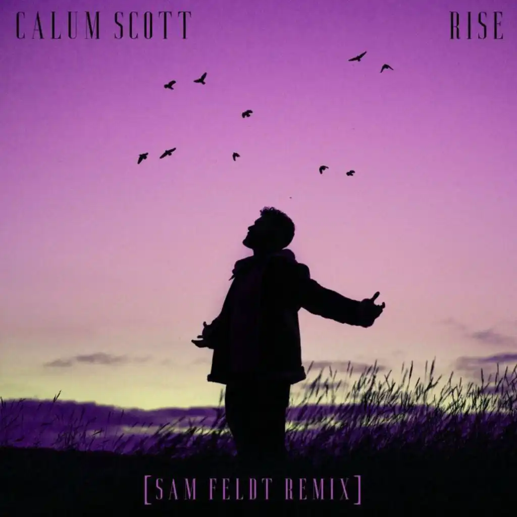 Calum Scott & Sam Feldt