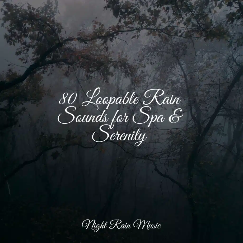 Forest, Evening, Calm, Birds