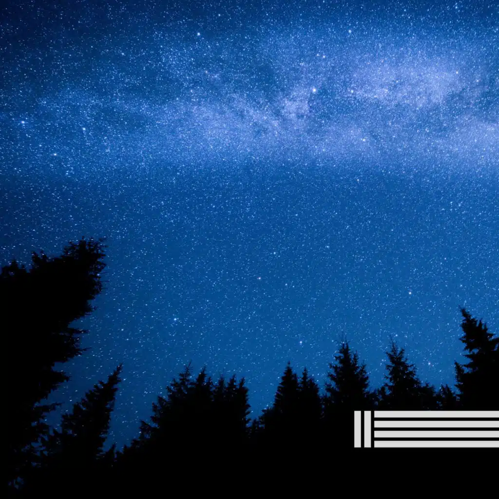 Soothing Night Crickets (Loopable, No Fade)