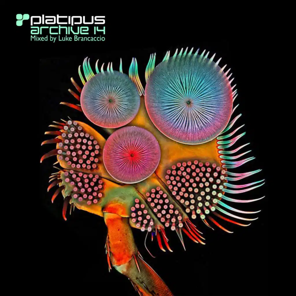 Swarm (Telefon Tel Aviv Remix)