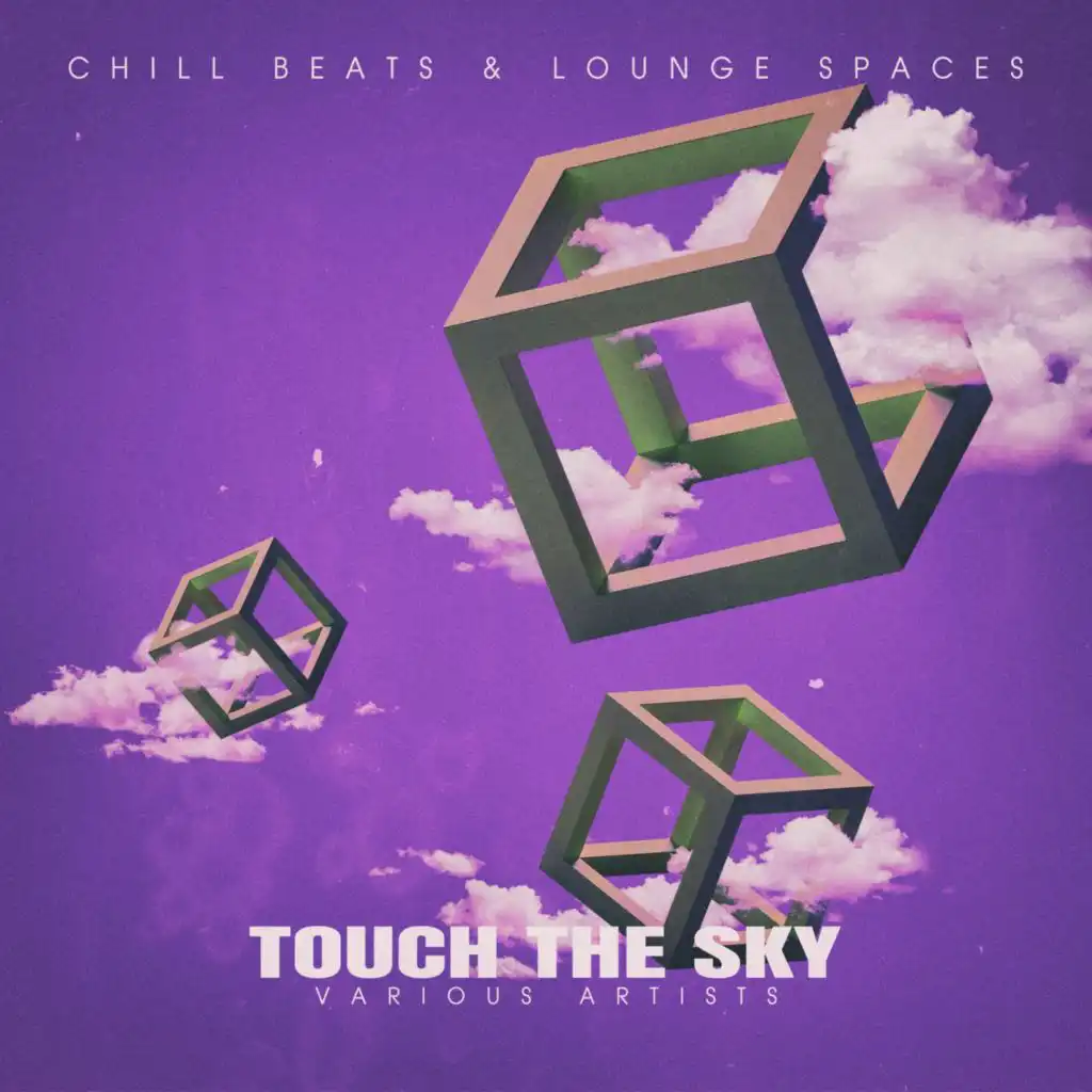 Touch the Sky (Took the Sky Mix)
