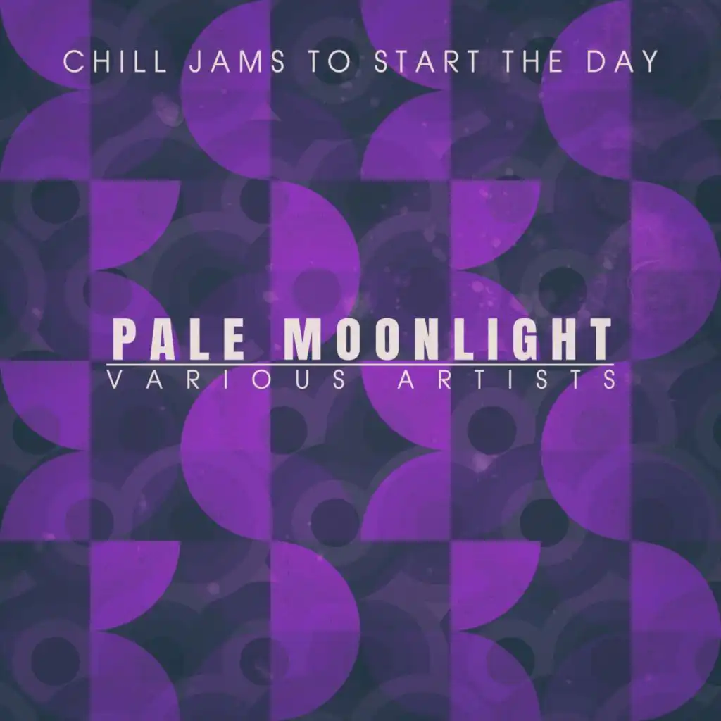 Pale Moonlight (Carried Away Mix)