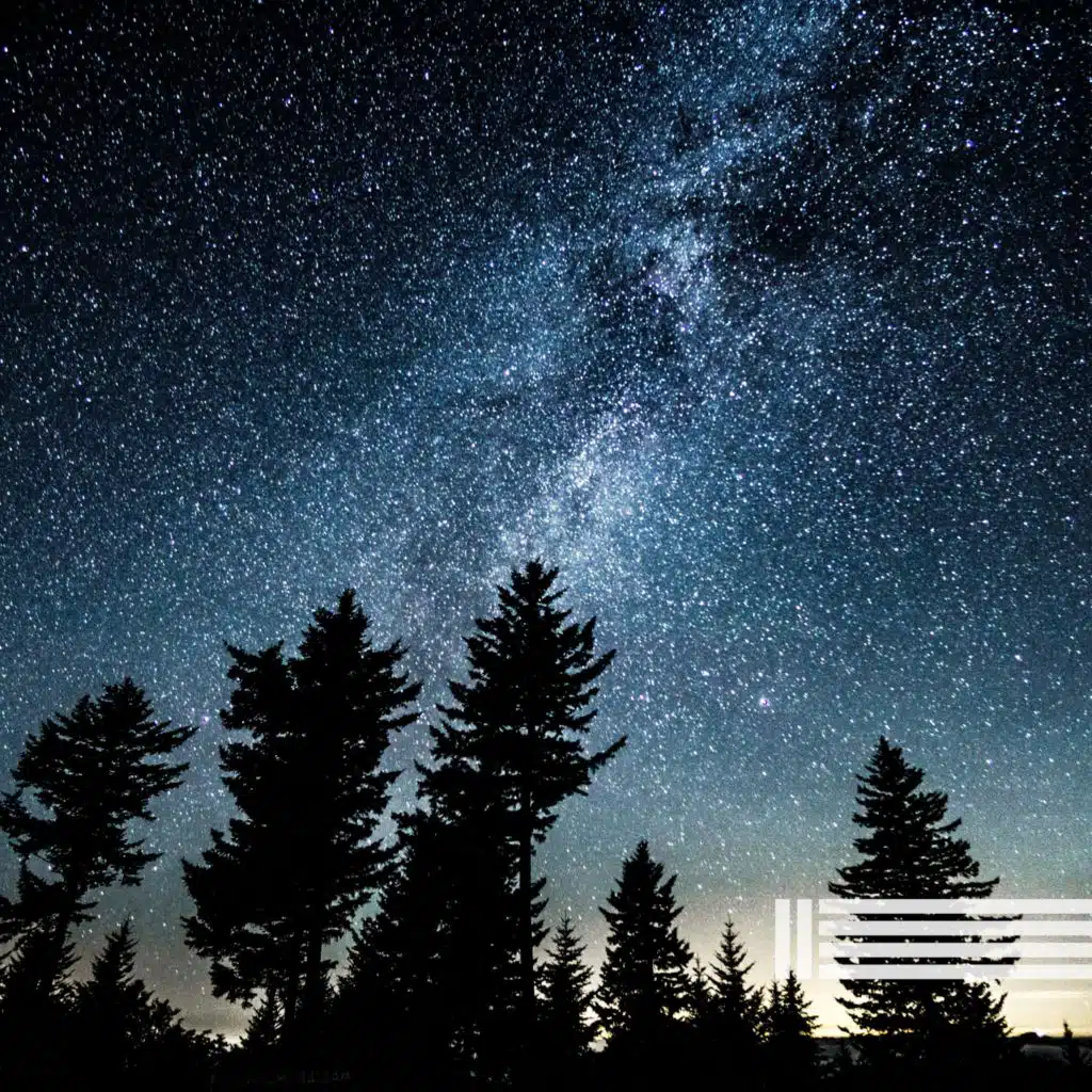 Beruhigende Nachtgrillen (Schleife)