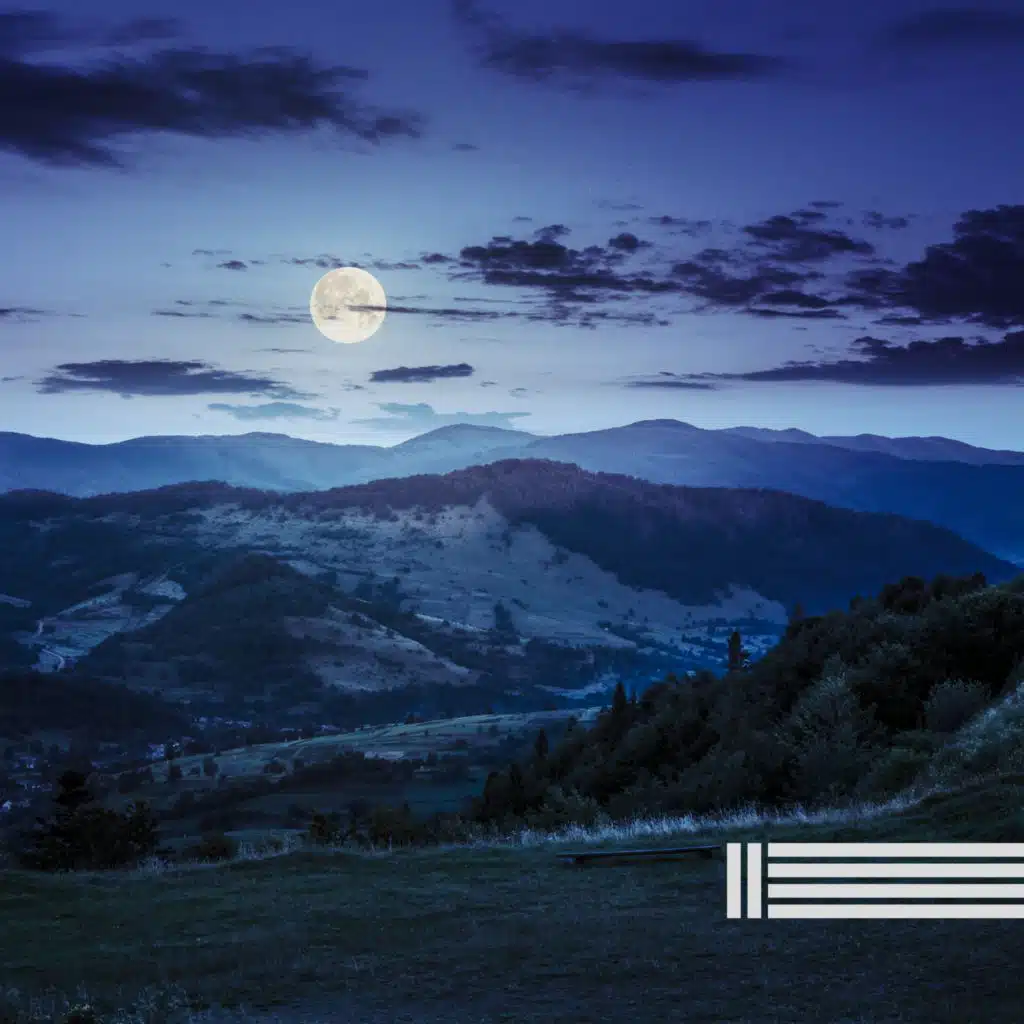 Cigales De Nuit Apaisantes (Bouclables)