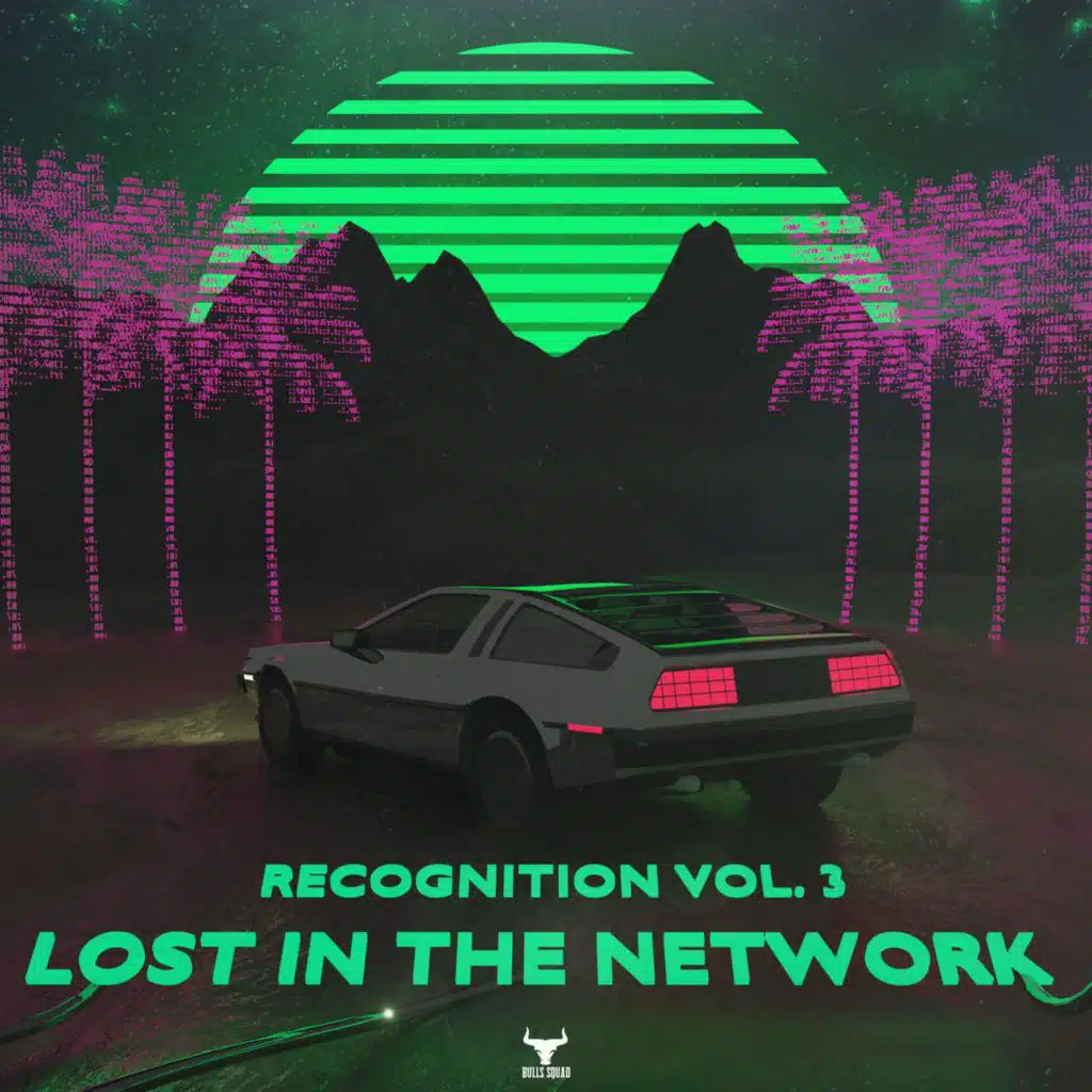 Recognition Vol. 3: Lost In The Network