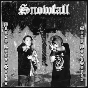 Snowfall (feat. Tony Backwoods)