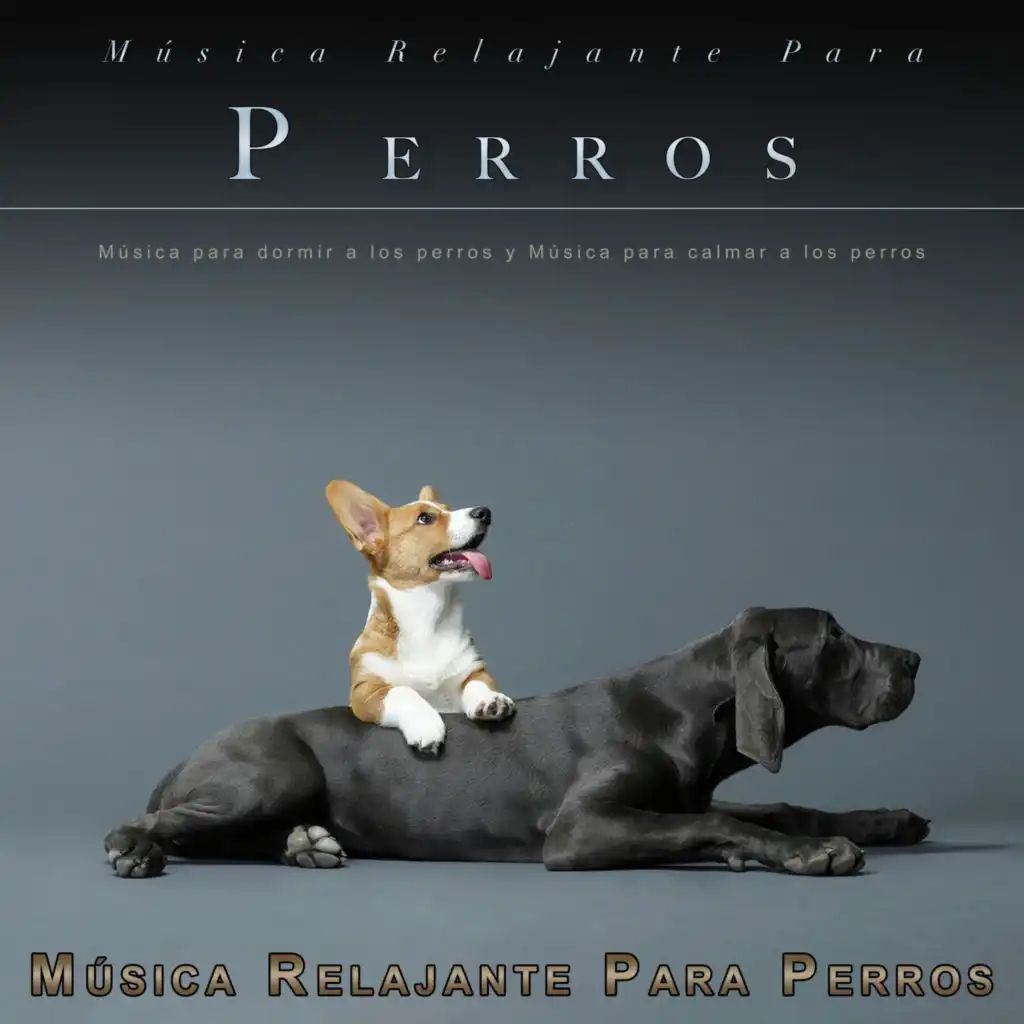 Música para dormir a los perros