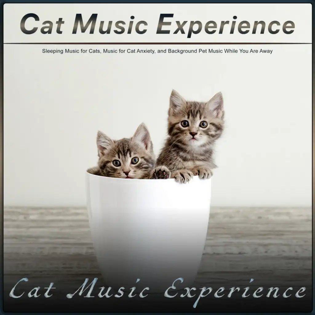 Sleeping Music for Cats