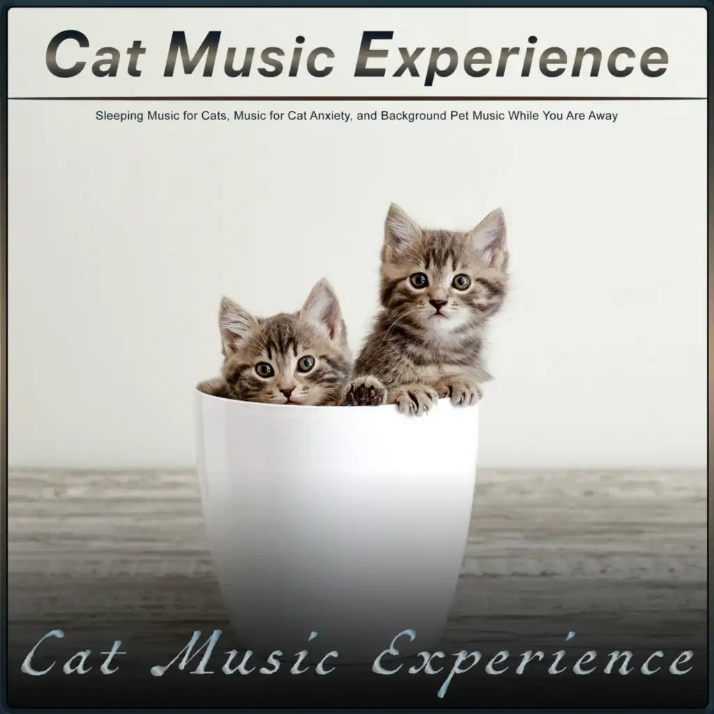 Pet Relaxation Music For Dogs and Cats