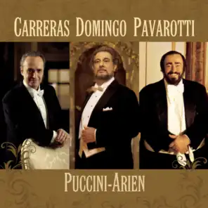 Domingo/Carreras/Pavarotti