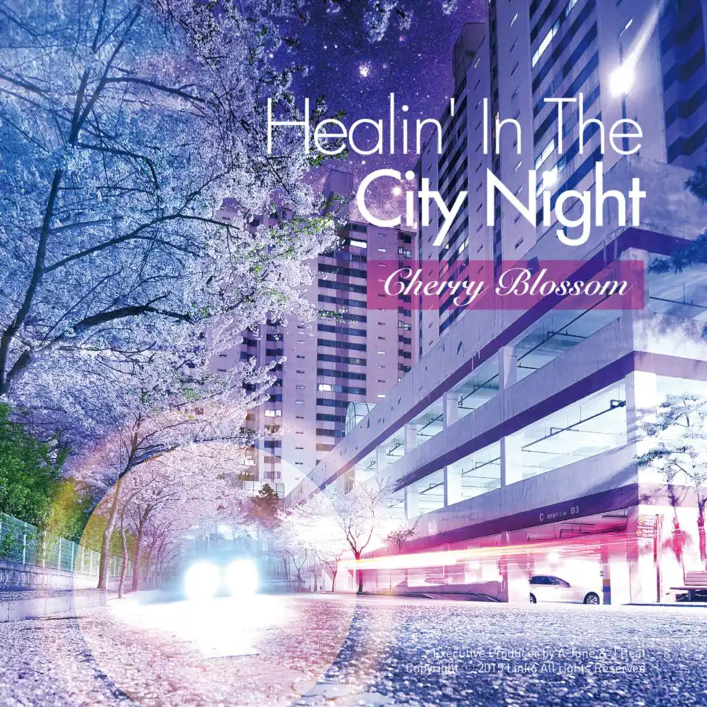 Healin' In The City Night - Cherry Blossom