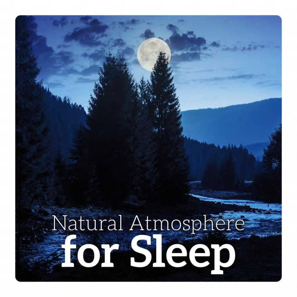 Natural Atmosphere for Sleep - Ocean Meditation, Peaceful Relaxation, Deep Sleep, Water Therapy, Insomnia Healing