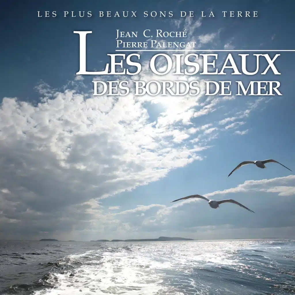 Oiseaux des bords de mer - Les plus beaux sons de la Terre