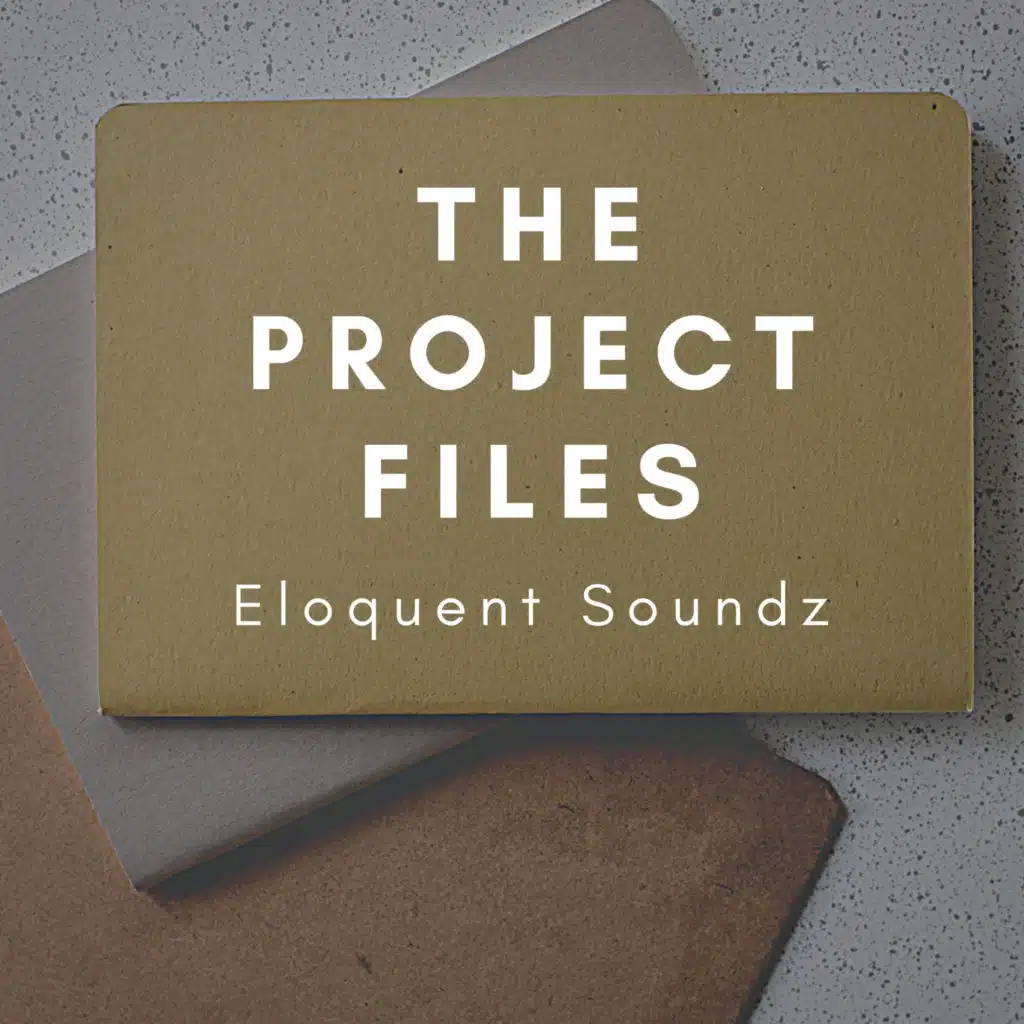 The Project Files