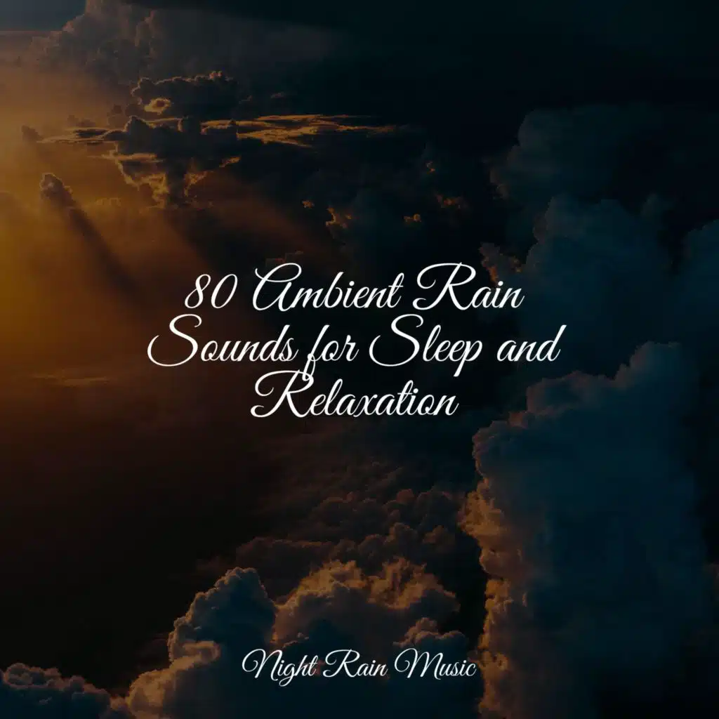 Seagulls on the Beach