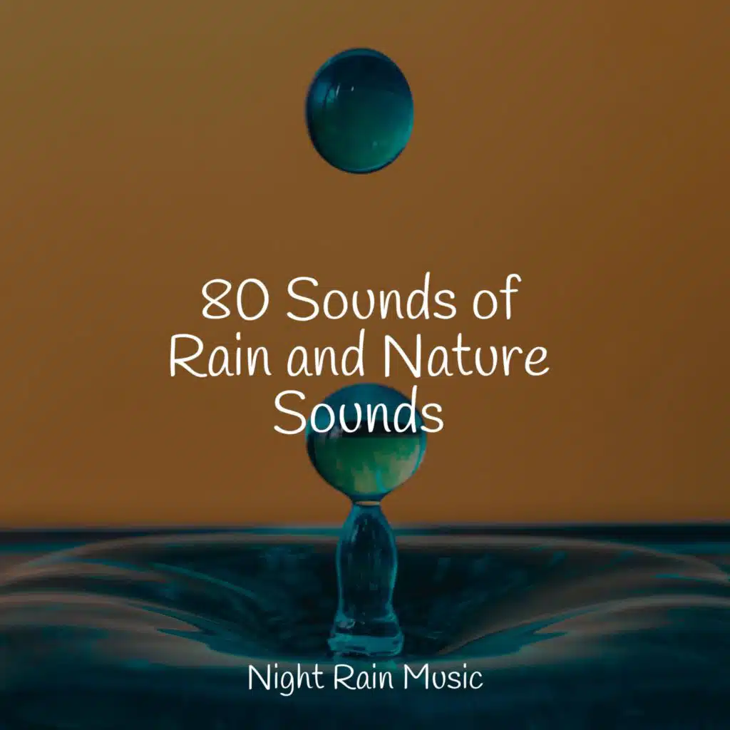 Seagulls on the Beach (Relaxing Ocean Waves)