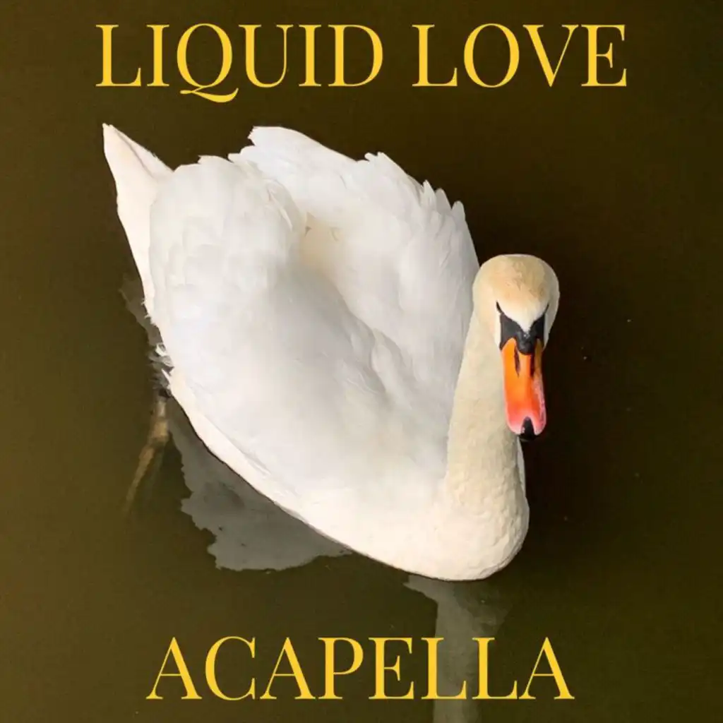 Liquid Love (Acapella)