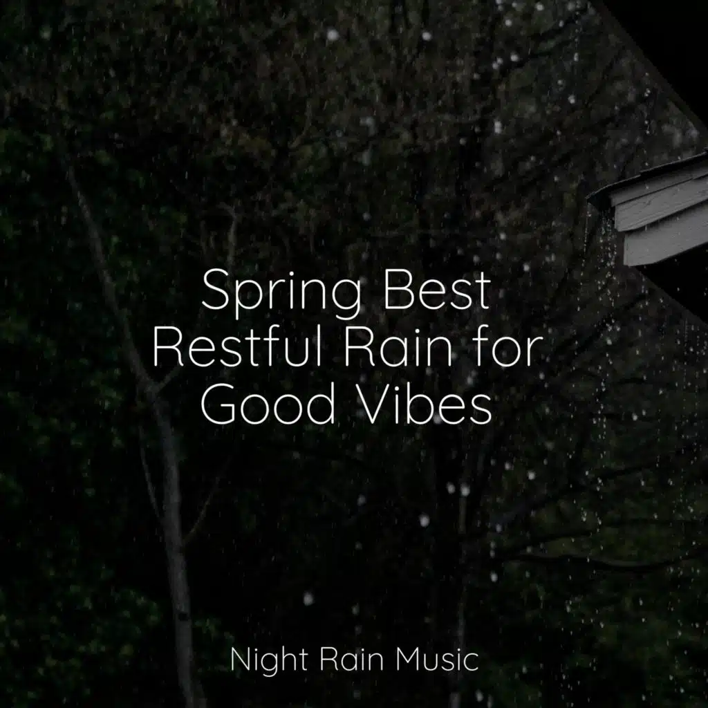 Spring Best Restful Rain for Good Vibes