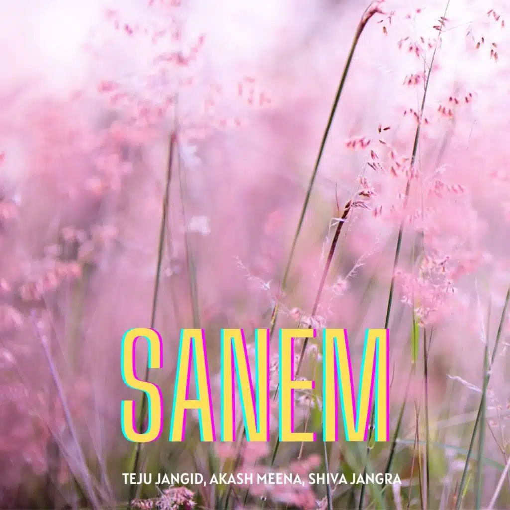 Sanem (feat. Jethu Sisodiya)