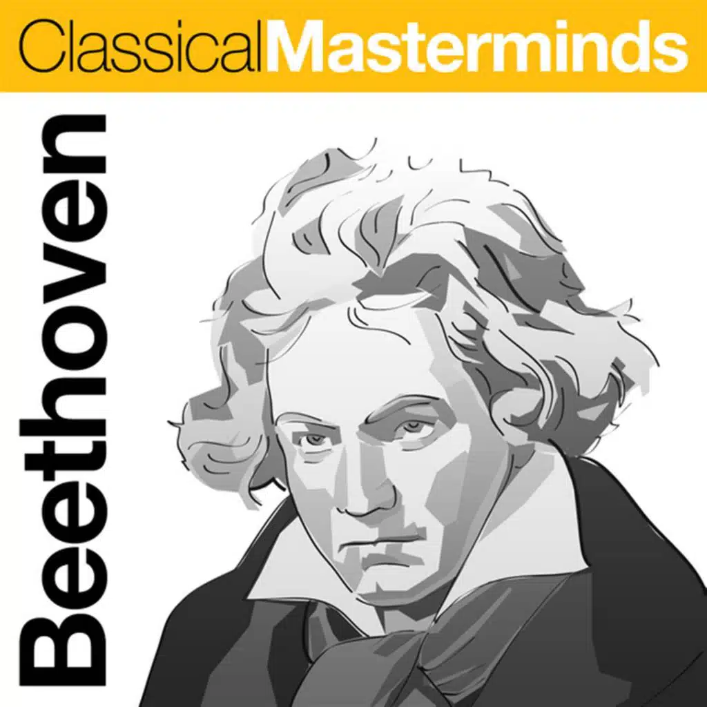 Violin Concerto in D Major, Op. 61: I. Allegro ma non troppo