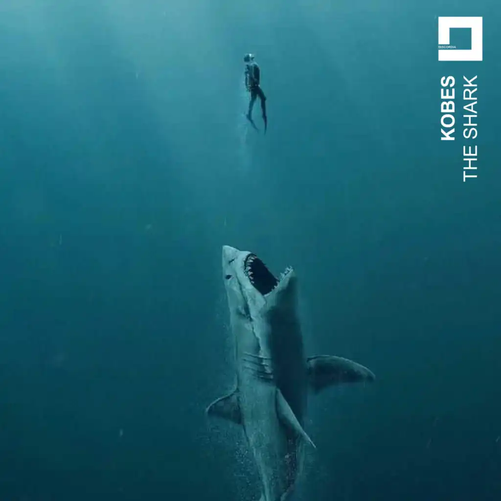The Shark