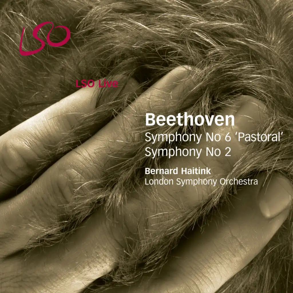 Symphony No. 2 in D Major, Op. 36: II. Larghetto