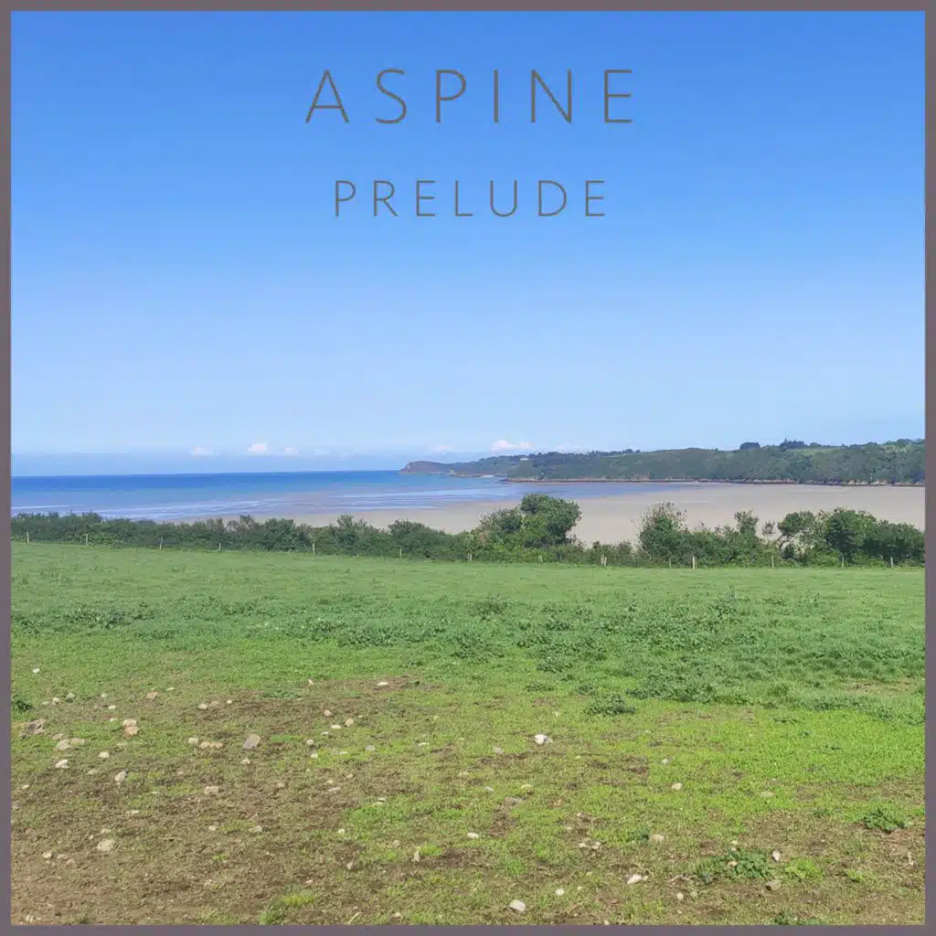 Aspine