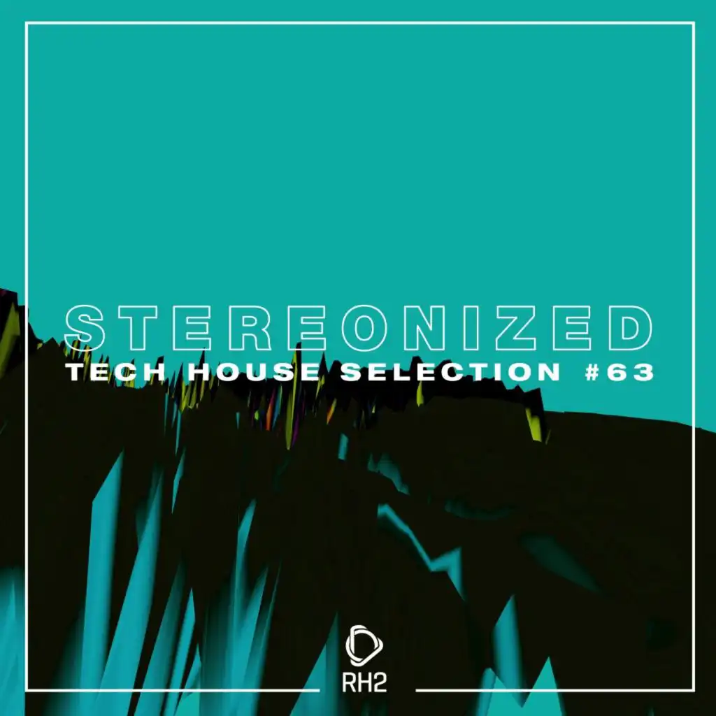 Stereonized: Tech House Selection, Vol. 63