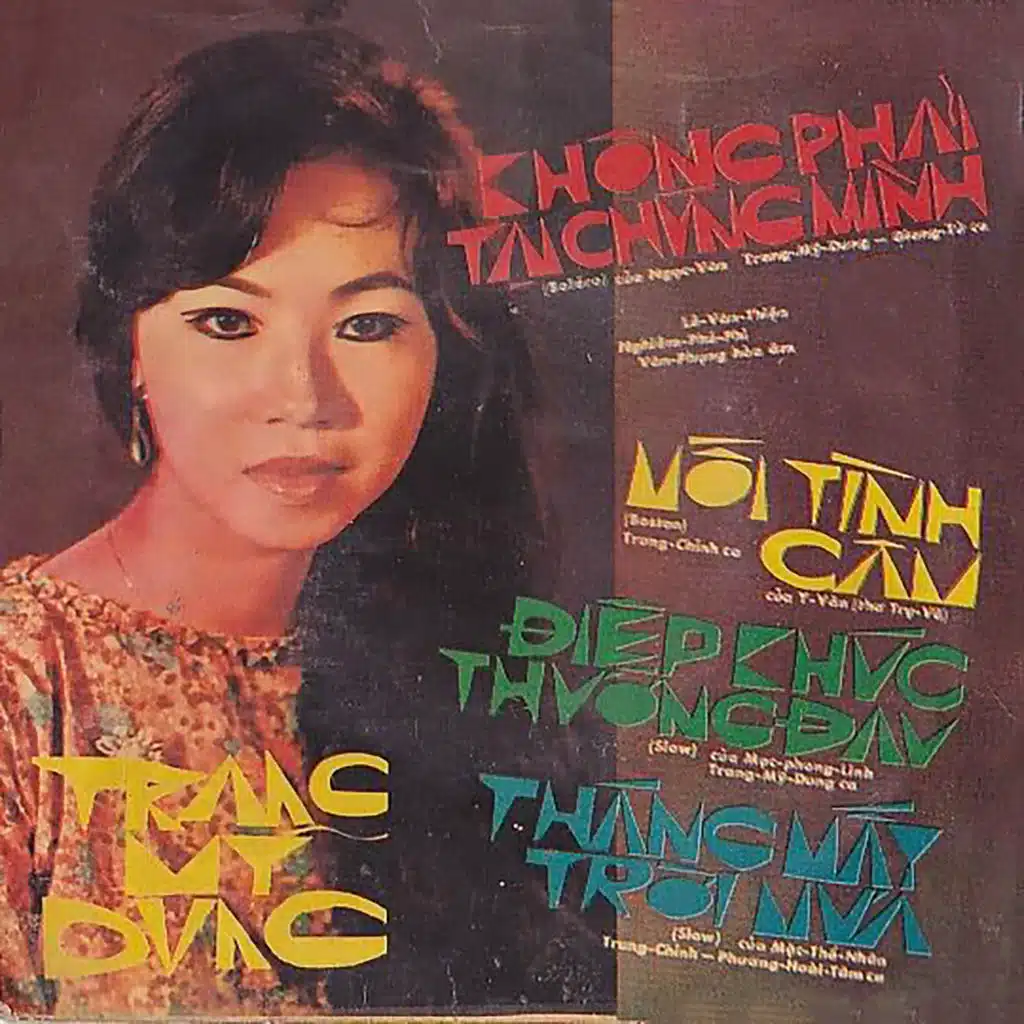 Không Phải Tại Chúng Mình (Dĩa Hát 1051-2219)