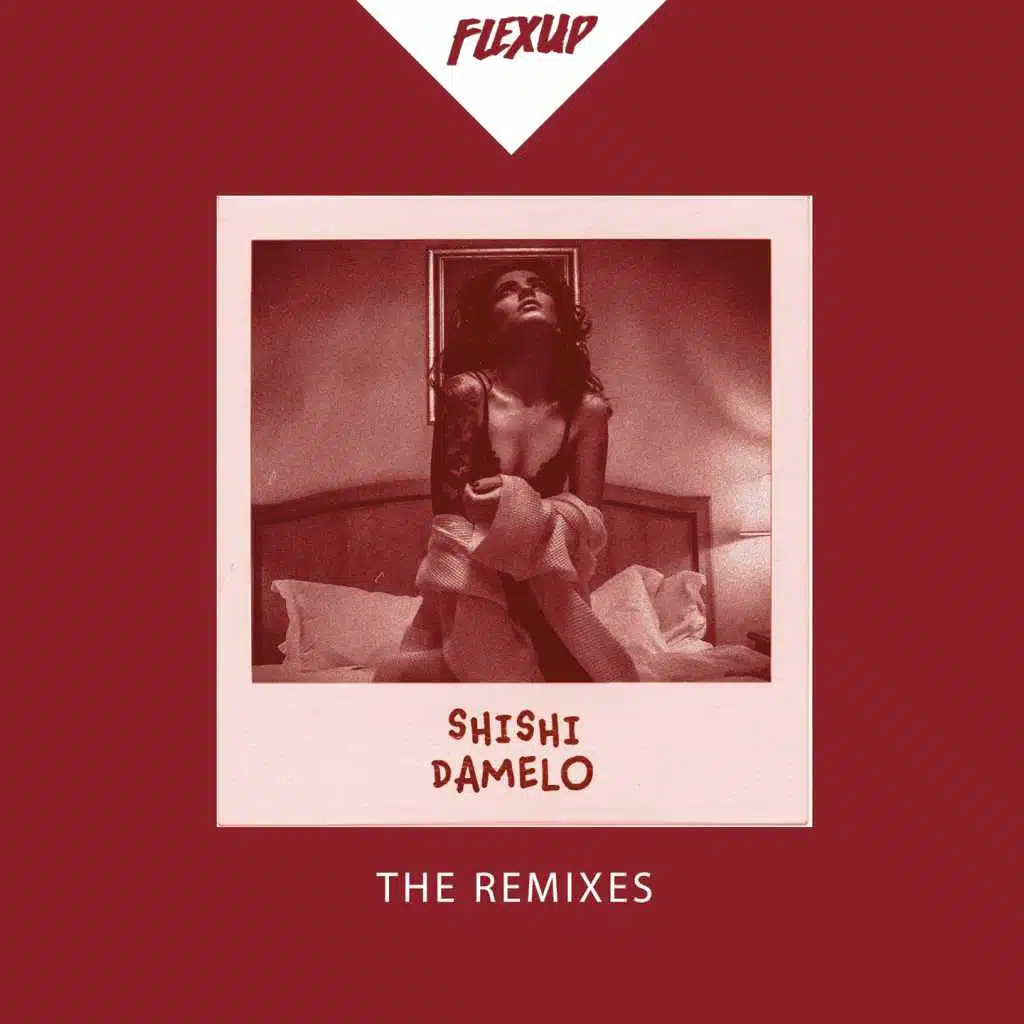 Damelo (The Remixes)