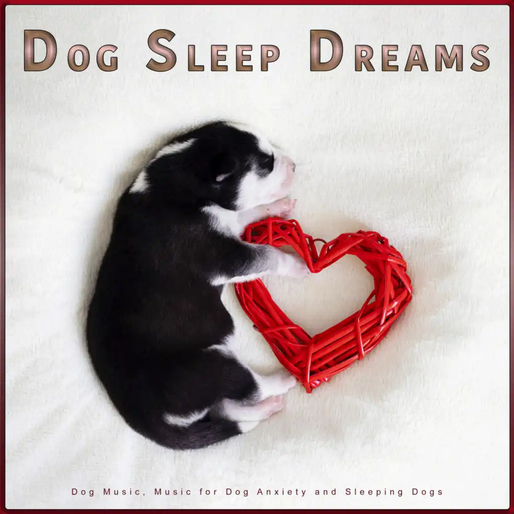 Sleeping Music For Dogs, Calming Music For Dogs & Dog Sleep Dreams