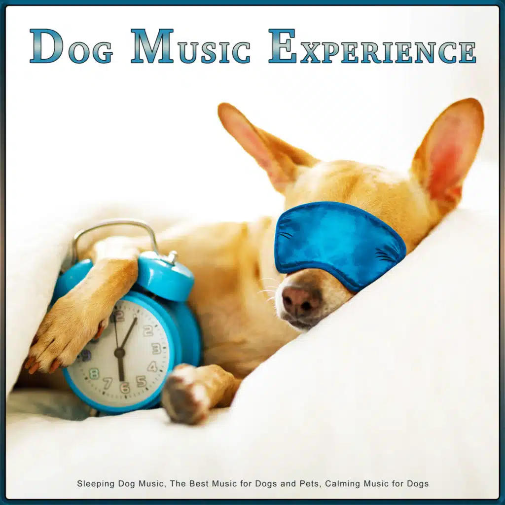 Sleeping Music For Dogs and Pets