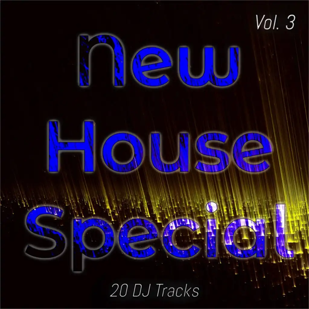New House Special, Vol. 3 (20 Special House Tracks)