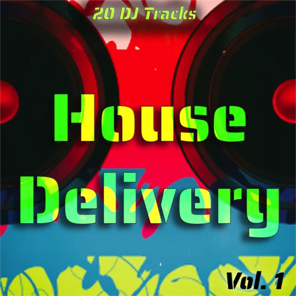 House Delivery, Vol. 1 (20 DJ Tracks)