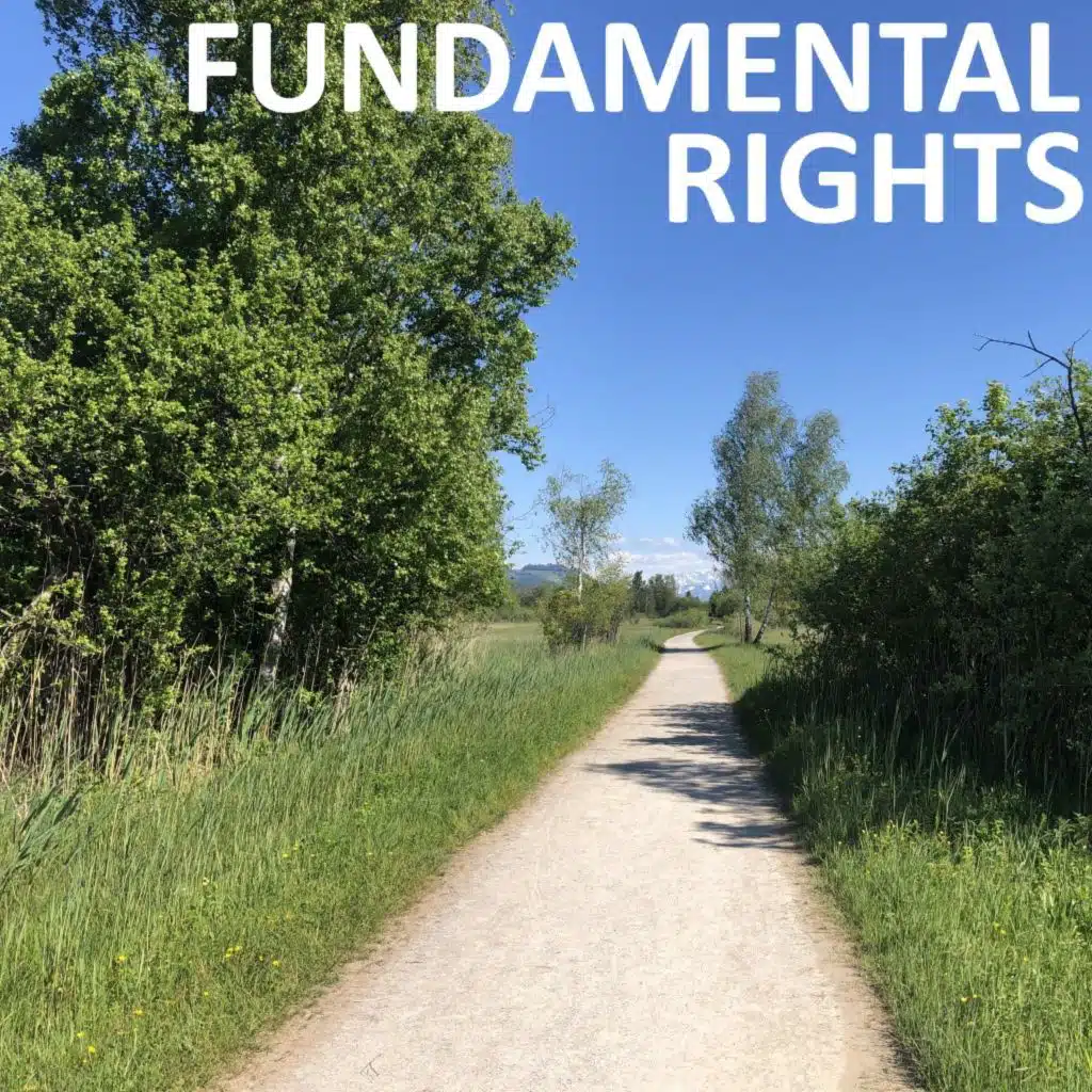 Fundamental Rights