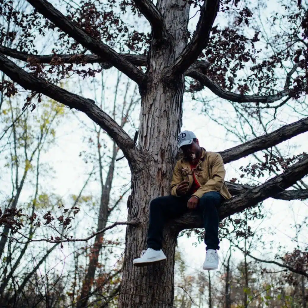 If Money Grew on Trees