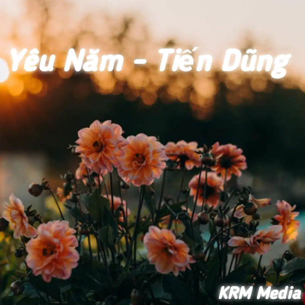 Tiến Dũng