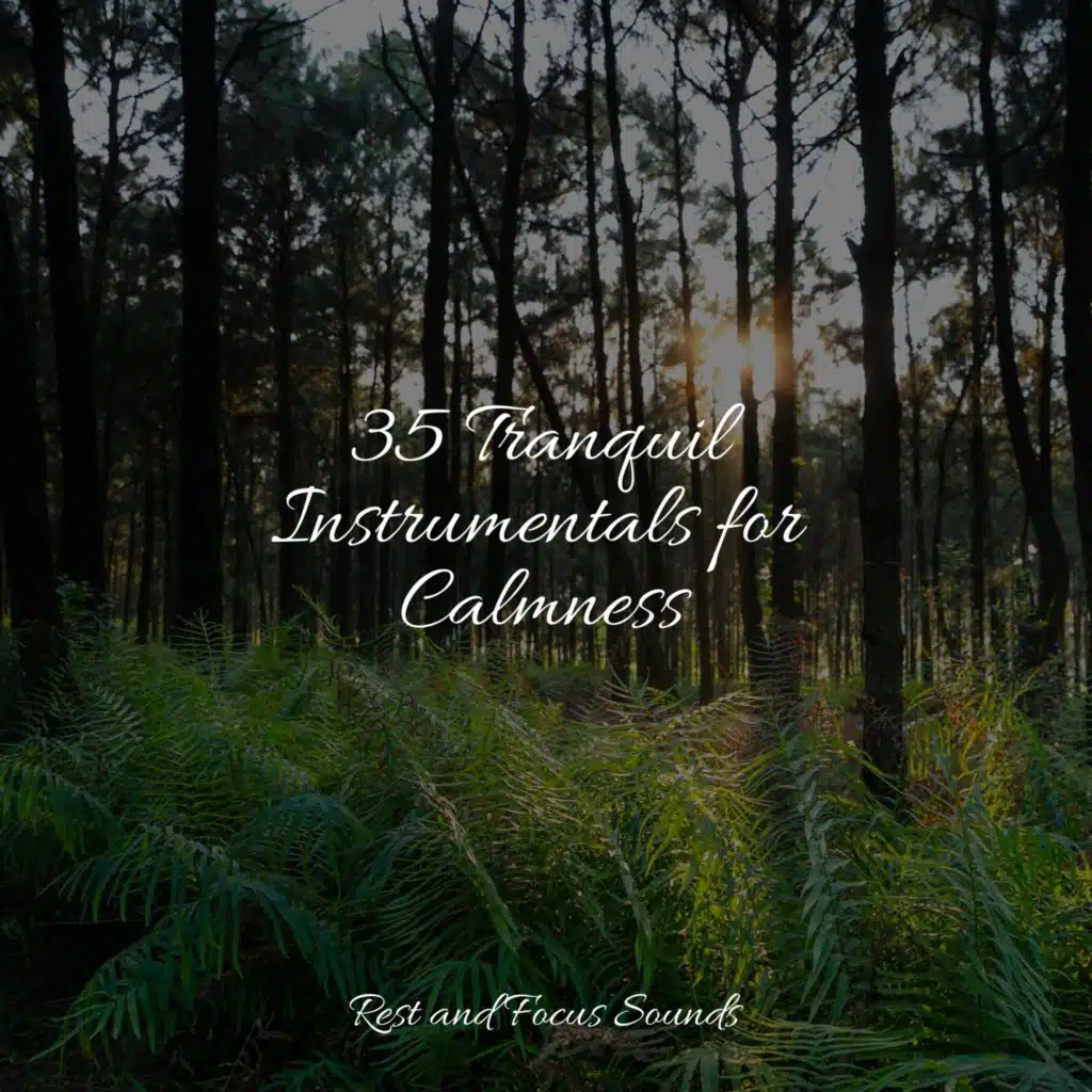 Free Perceptive Laziness