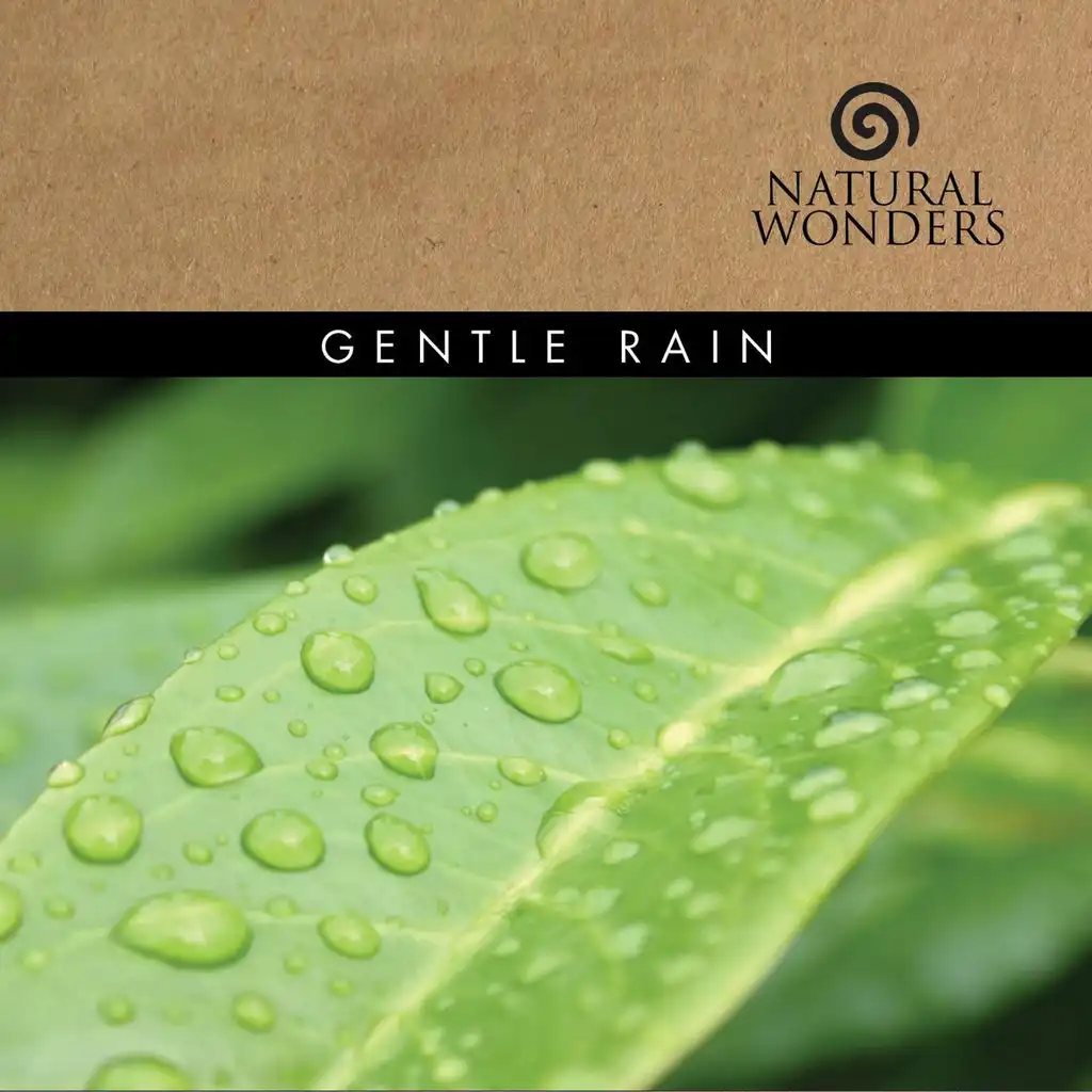 Prelude (Gentle Rain Album Version)