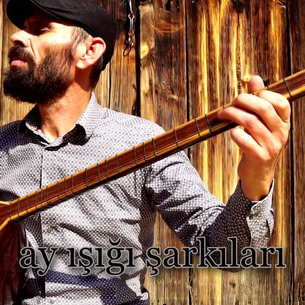 ayışığı şarkıları (Instrumental Versions)