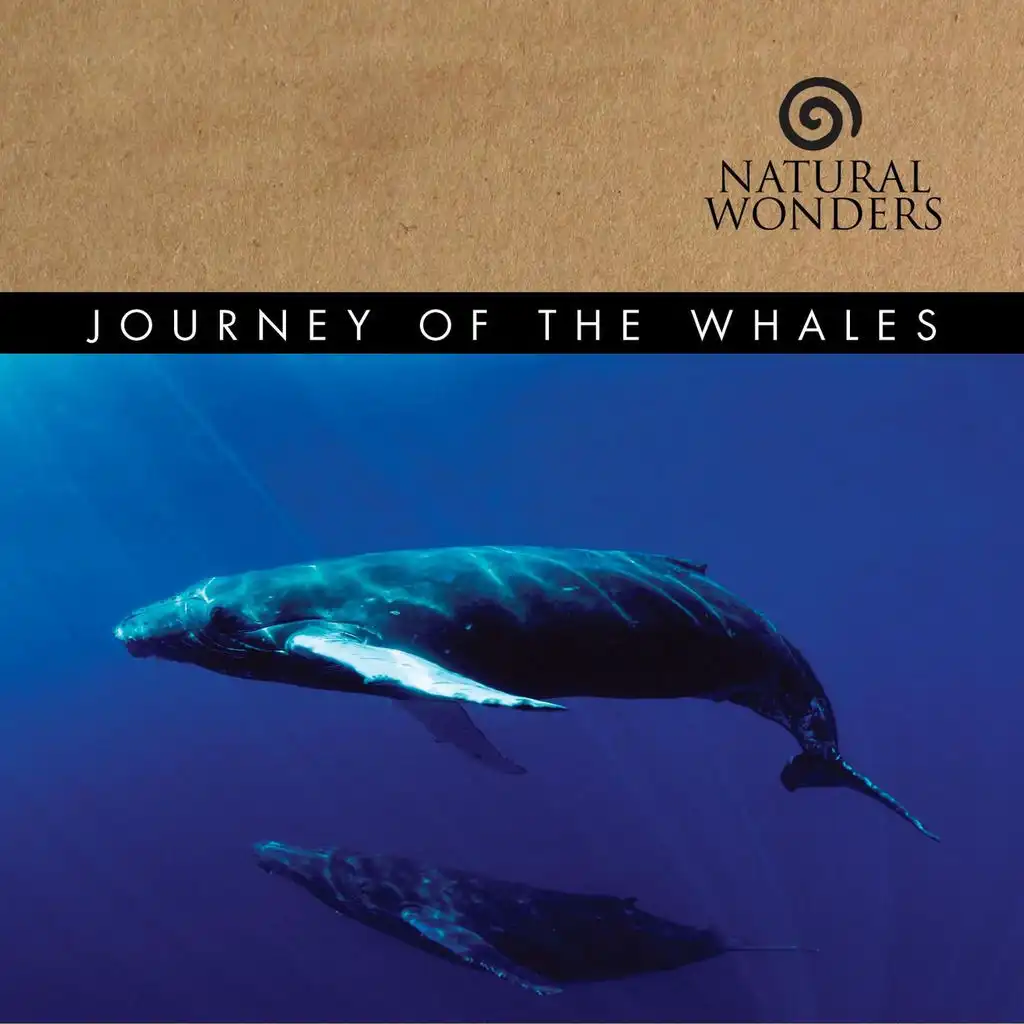 Prelude (Journey Of Whales Album Version)