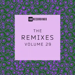 The Remixes, Vol. 29