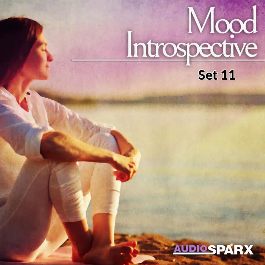 Mood Introspective, Set 11