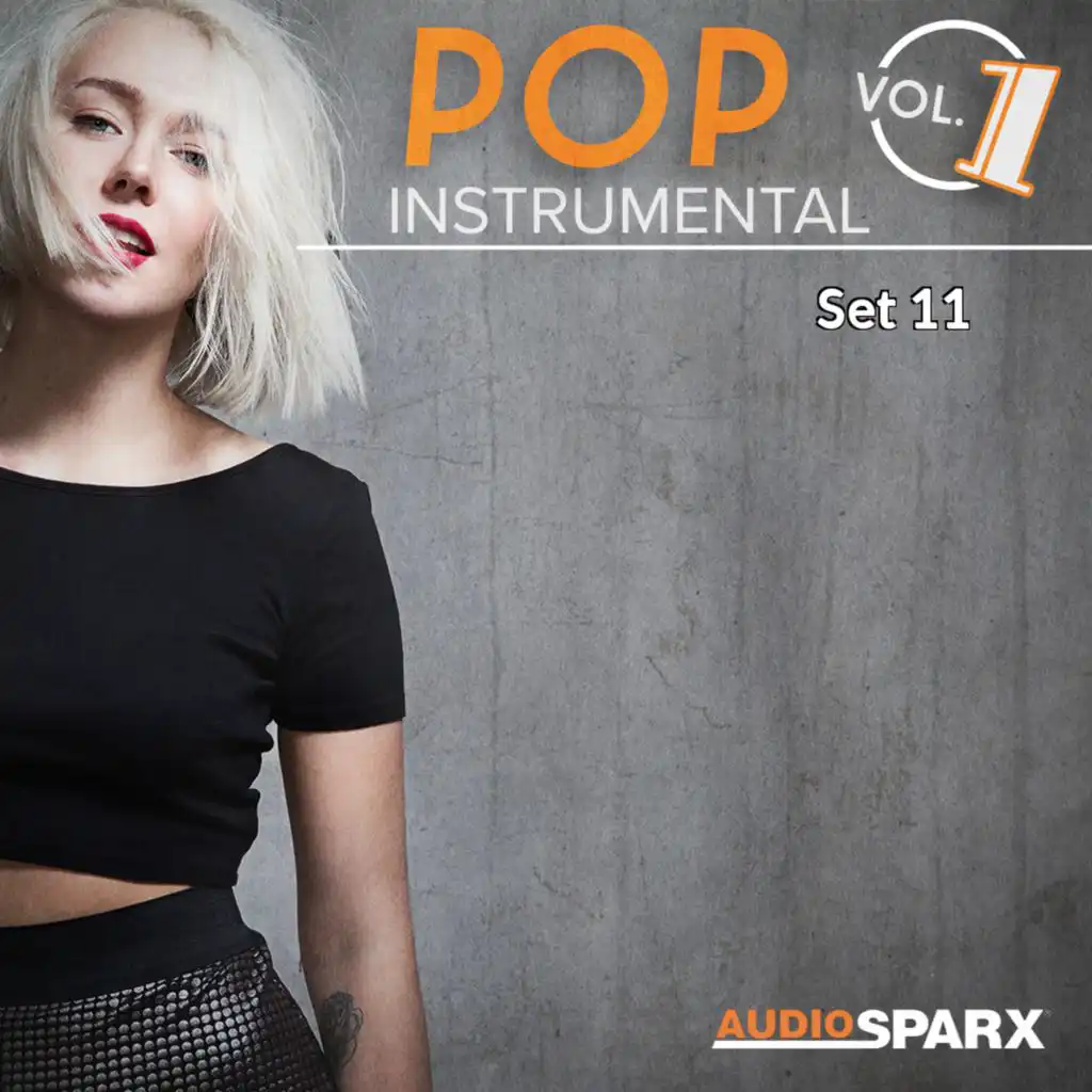 Pop Instrumental, Vol. 1, Set 11