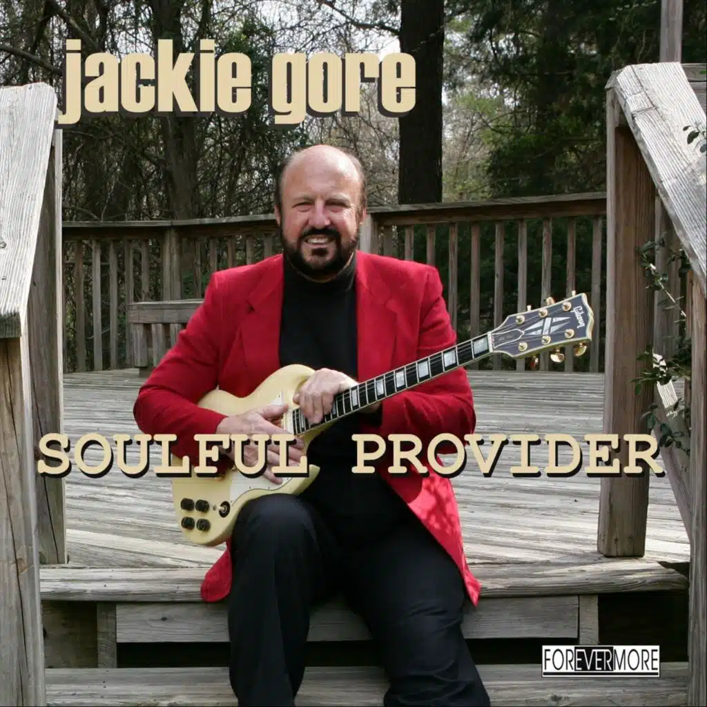 Soulful Provider