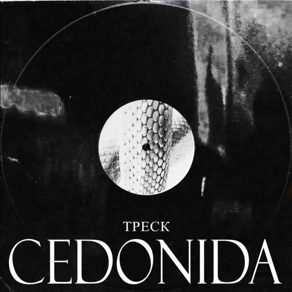 CEDONIDA