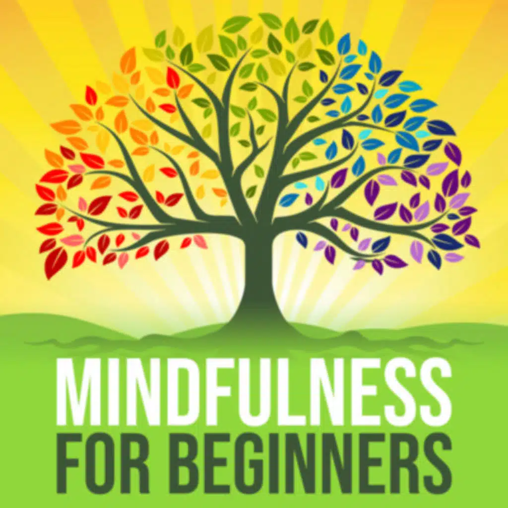 Introduction to Mindfulness - Reducing stress and living a happier life