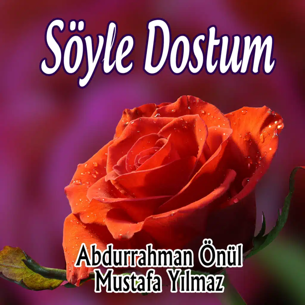 Söyle Dostum