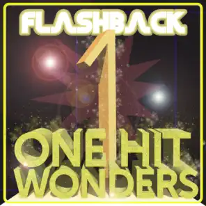 Flashback - One Hit Wonders